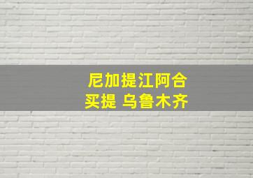 尼加提江阿合买提 乌鲁木齐